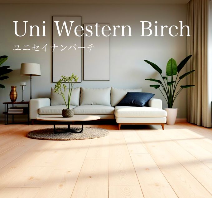 Uni Western Birch ユニセイナンバーチ