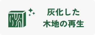 灰化した木地再生